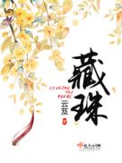 藏珠泊烟小说全文免费阅读无防盗